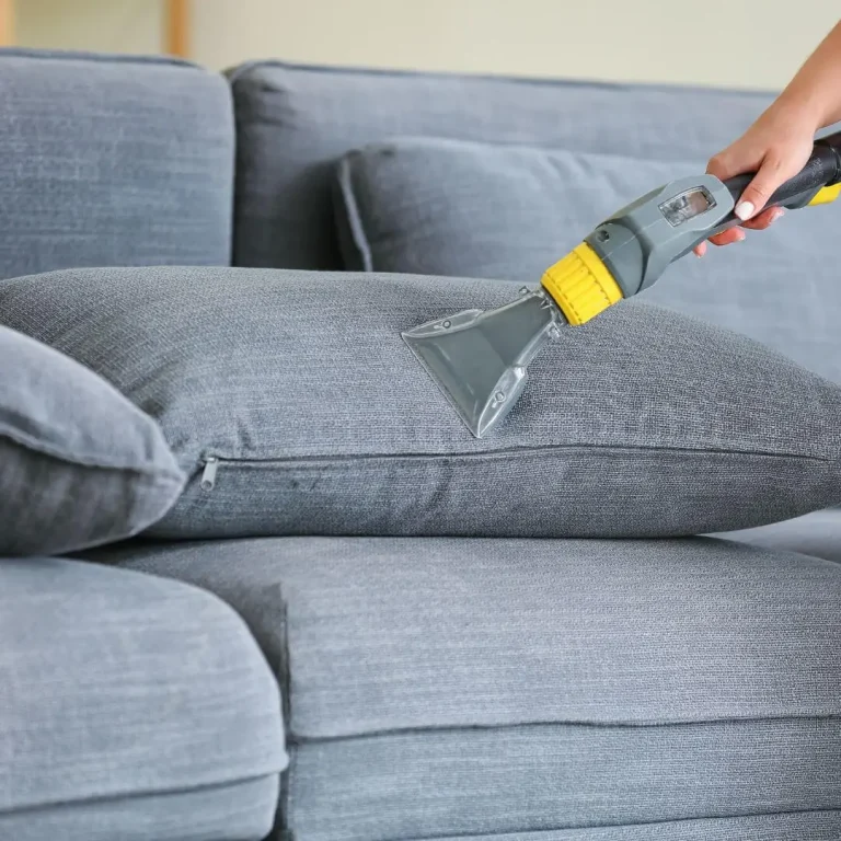 Sofa cleaning services